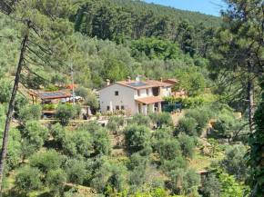 Rivolta home